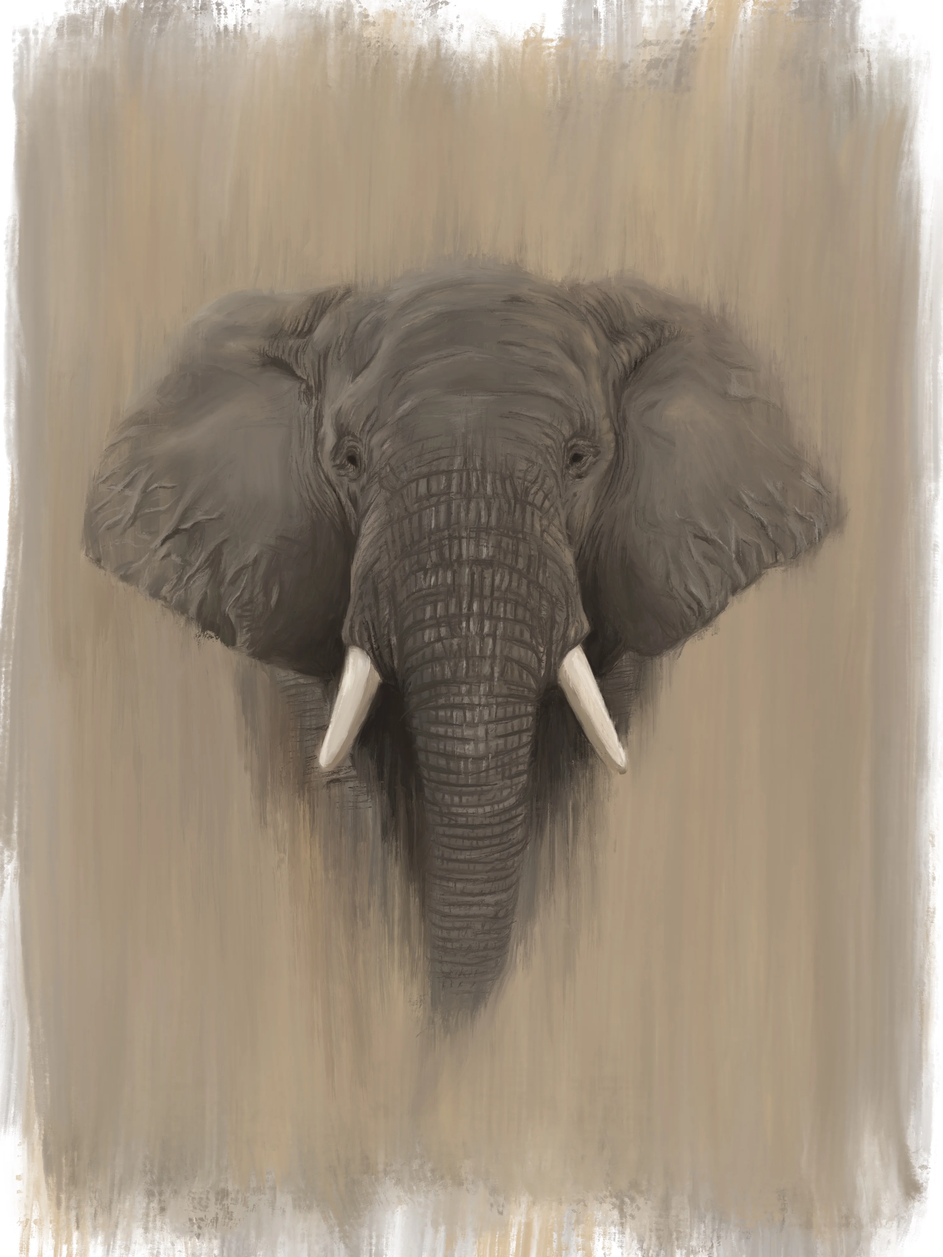 Animal Sketches — Elephant